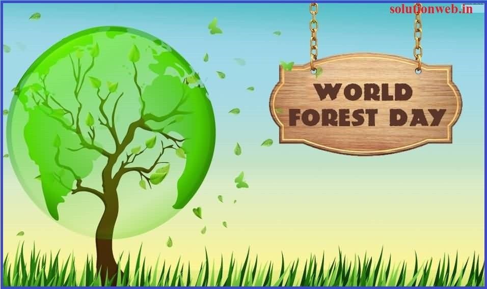 21th March 2024 World Forestry Day HD Photos